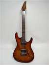 IBANEZ SA2020.jpg